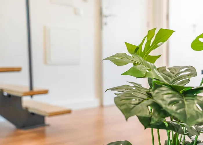 Ajuda Deluxe Lissabon